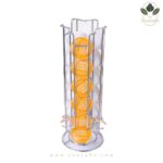 استند کپسول قهوه دولچه گوستو اوسیس دبلیوجی OwsisWj Yz1312