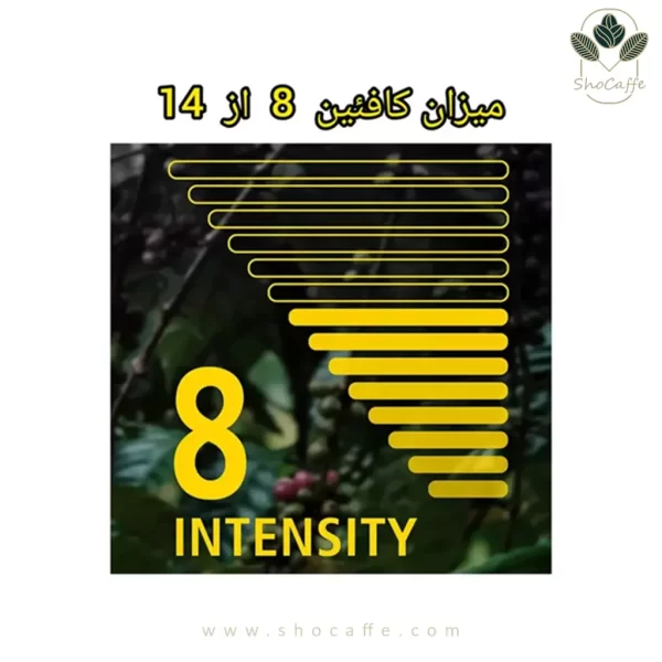 کپسول قهوه دنیل اسپرسو Espresso-بسته 10 عددی