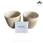 ست 2 عددی فنجان نسپرسو مدل Nude Collectio Espresso